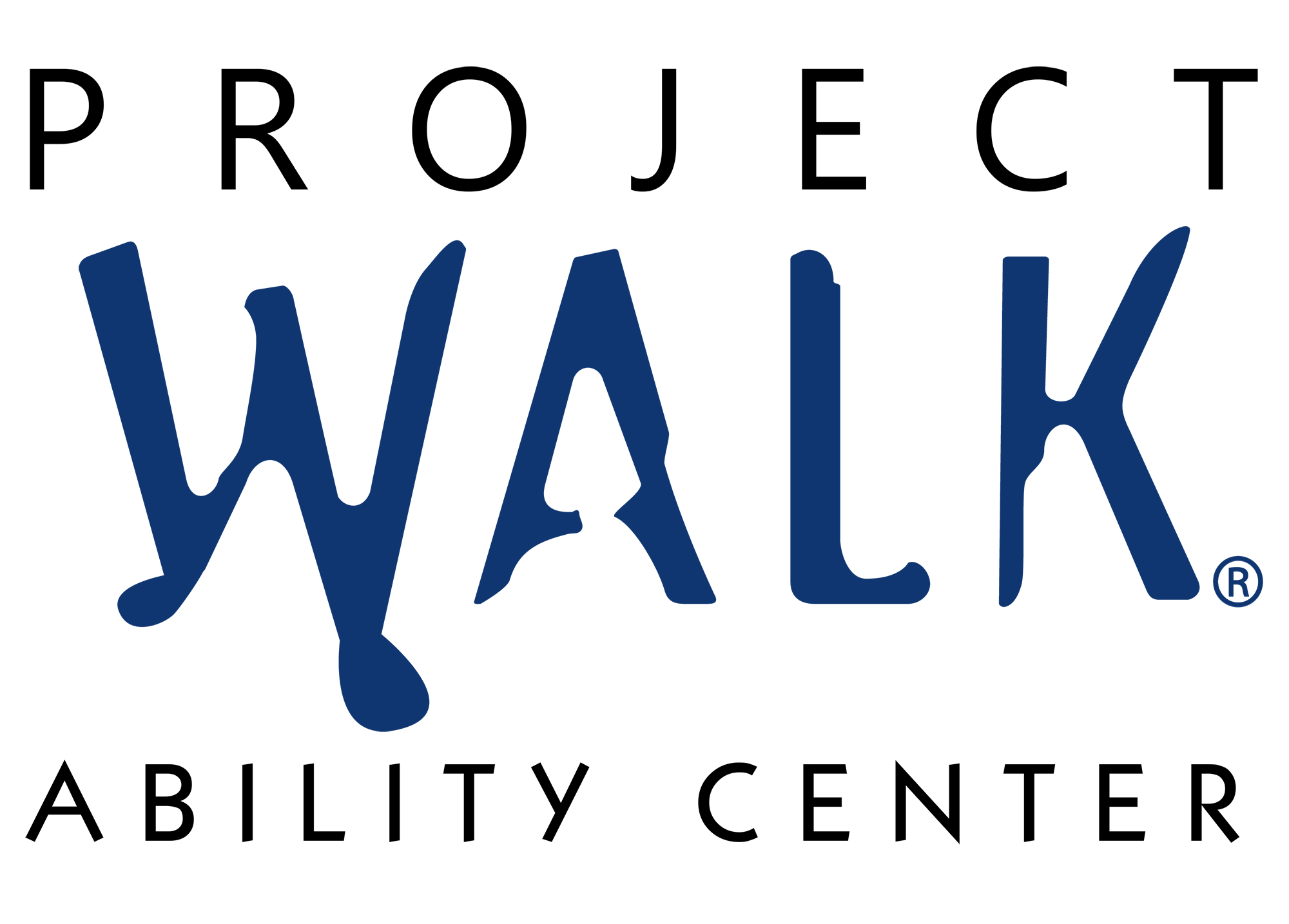 Nasa Logo