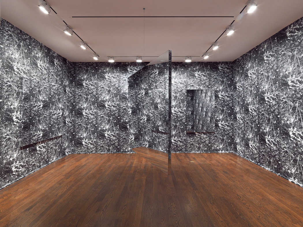 Glassless Mirror Auto Show Exhibit