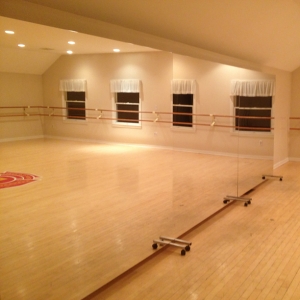 Vertical Freestanding Rolling Glassless Mirror