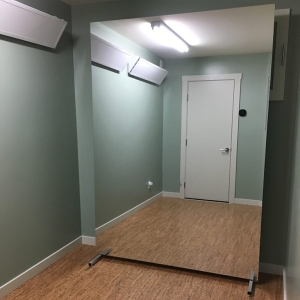 Vertical Freestanding Stationary Glassless Mirror