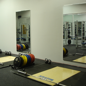 Wall Mounted Glassless Mirrors