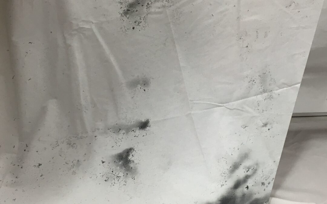 Antique Finish Glassless Mirror