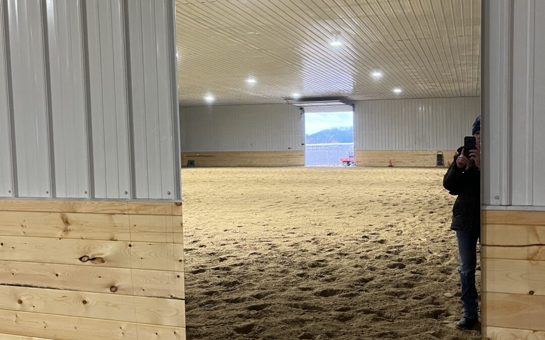 Elevate Your Equestrian Facility with Glassless Mirrors!