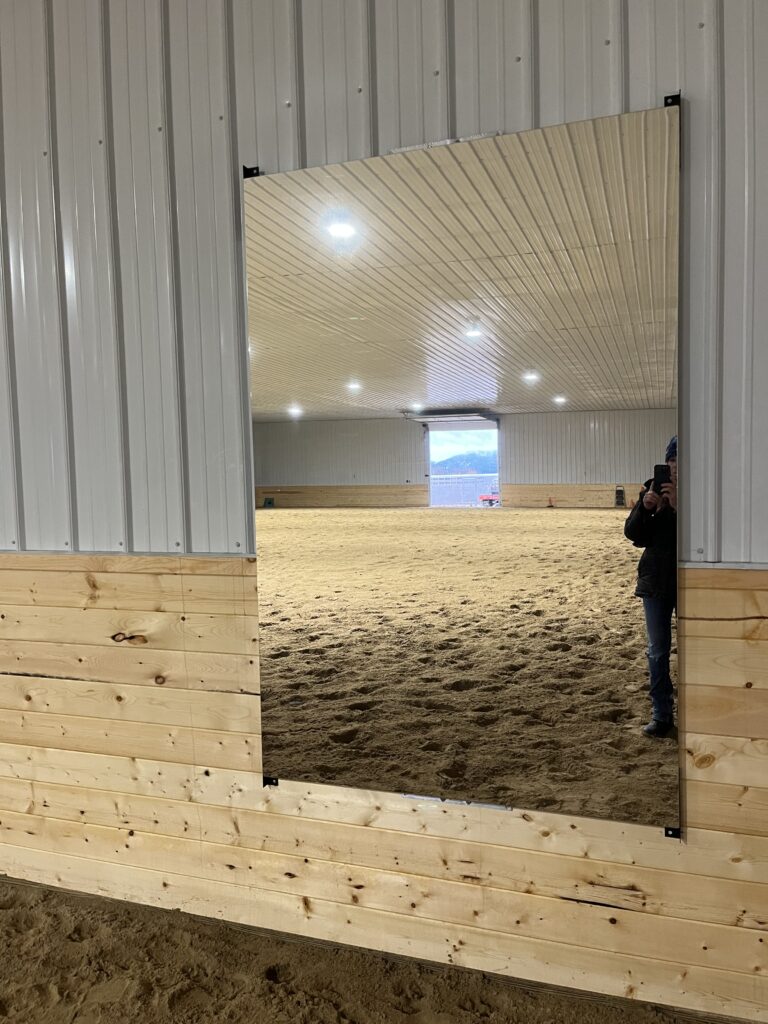 Equestrian Glassless Mirror