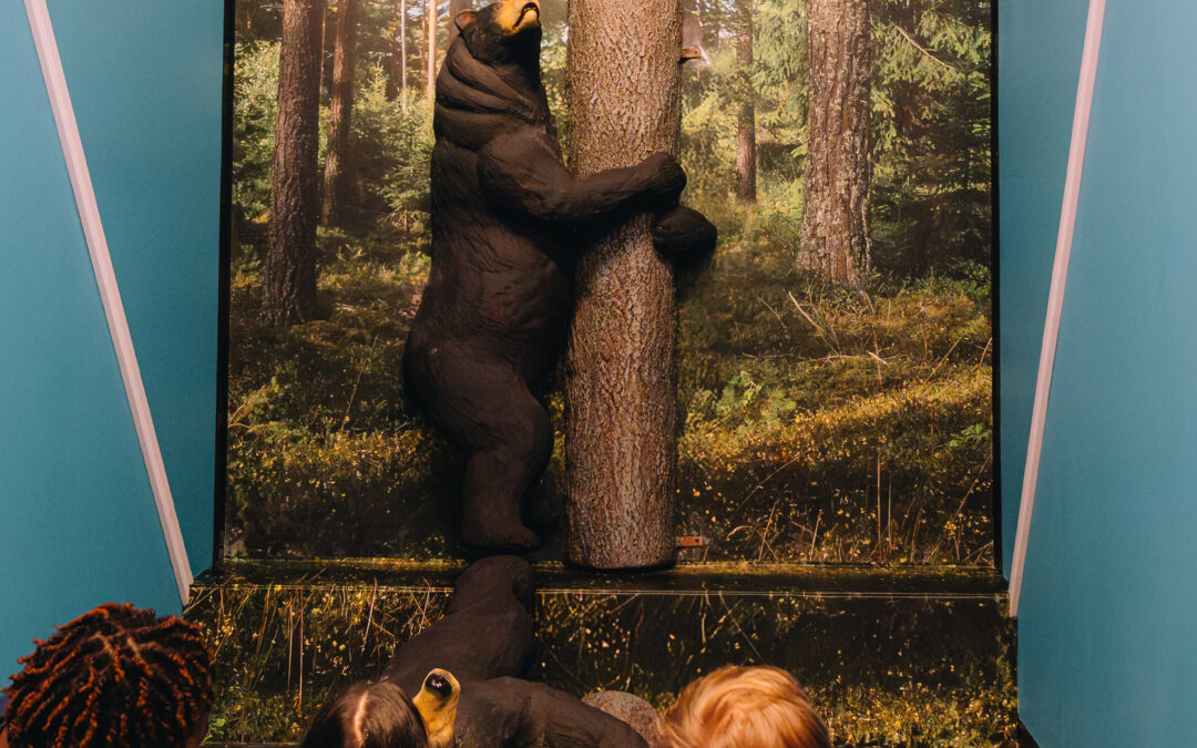 Step Into the Illusion: Our Glassless Mirrors Star at Ripley’s Believe It or Not!