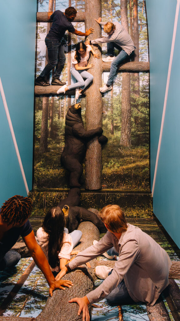 Ripleys Believe It Or Not! Wall Illusion - Custom Glassless Mirror