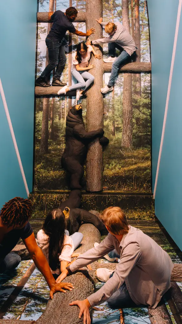 Ripleys Believe It Or Not! Wall Illusion