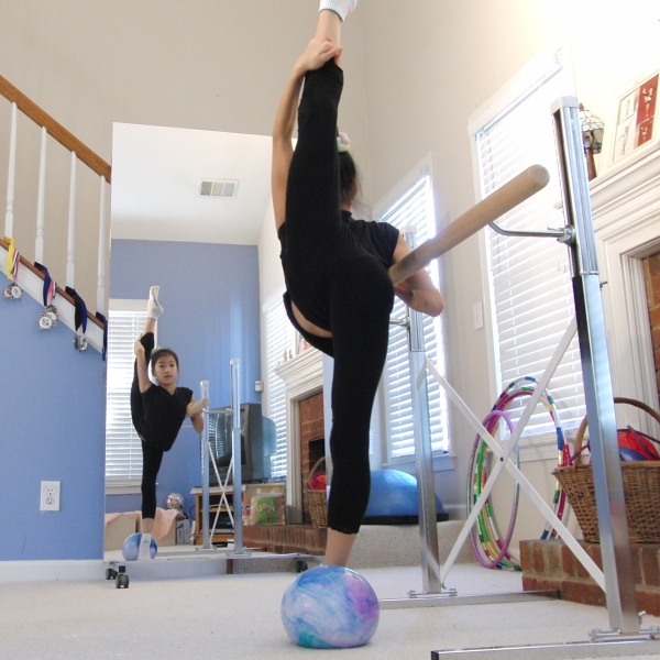 Glassless Mirror Home Dance Studio